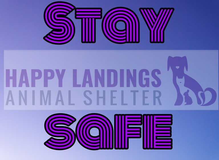 stay_safe_pic